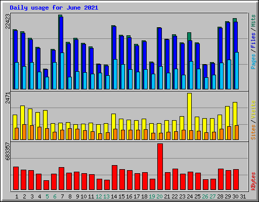 Daily usage for June 2021