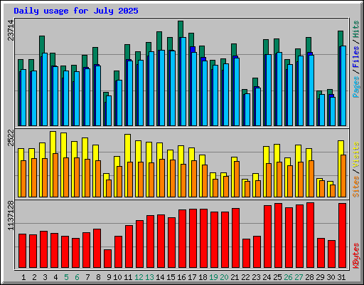 Daily usage for July 2025