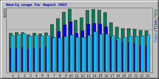 Hourly usage for August 2022