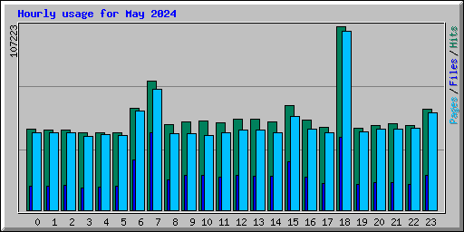 Hourly usage for May 2024