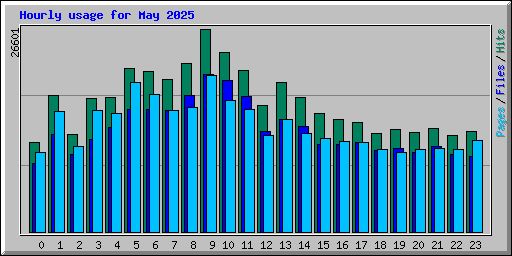 Hourly usage for May 2025