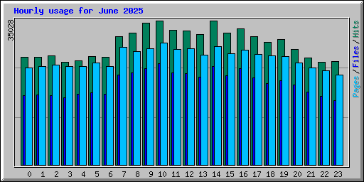 Hourly usage for June 2025