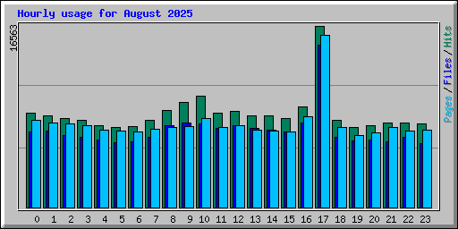 Hourly usage for August 2025