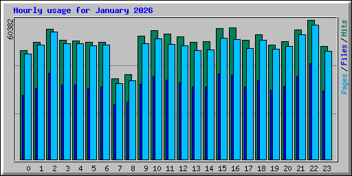 Hourly usage for January 2026