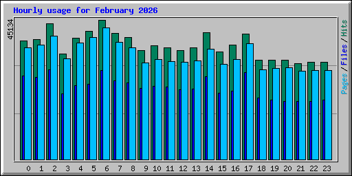 Hourly usage for February 2026